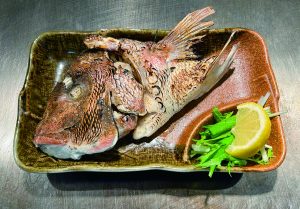 敦賀真鯛の頭の塩焼き