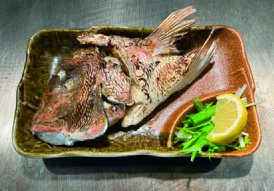 敦賀真鯛の頭の塩焼き